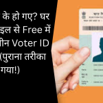 Voter ID Card
